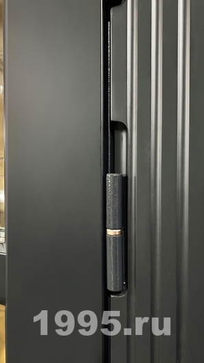 Петля Петля